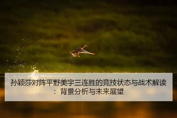 孙颖莎对阵平野美宇三连胜的竞技状态与战术解读：背景分析与未来展望